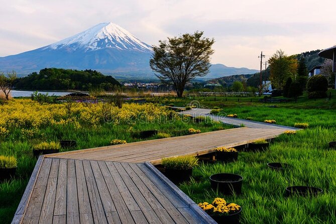 Mt Fuji Private Tour with English Speaking Driver - Fuji-Honcho Main Street and Oshino Hakkai