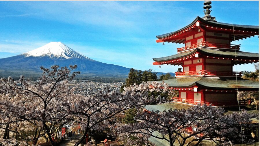 Mt Fuji Sightseeing Private tour with English Speaking Guide - Oshino Hakkai, a village of clear spring ponds
