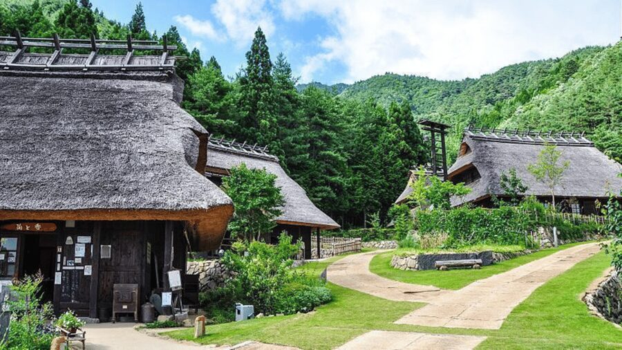 Mt Fuji Sightseeing Private tour with English Speaking Guide - Lunch in Hakone is optional