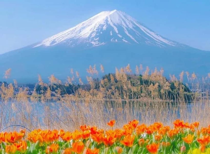 Mt Fuji Top 5 Spots Day Tour: Arakurayama Park,Oshino Hakkai - Arakurayama Sengen Park and the 397-step reward