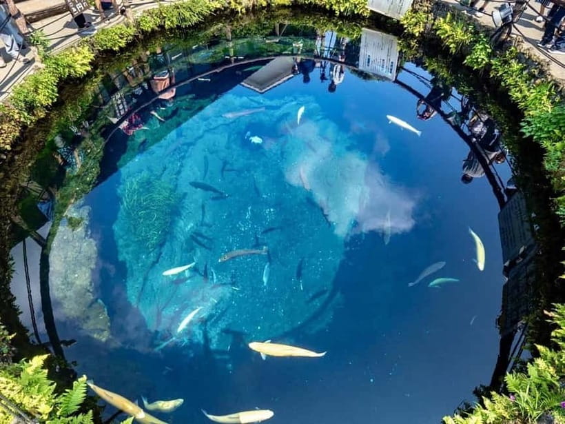 Mt Fuji Top 5 Spots Day Tour: Arakurayama Park,Oshino Hakkai - Oshino Hakkai and its eight clear springs