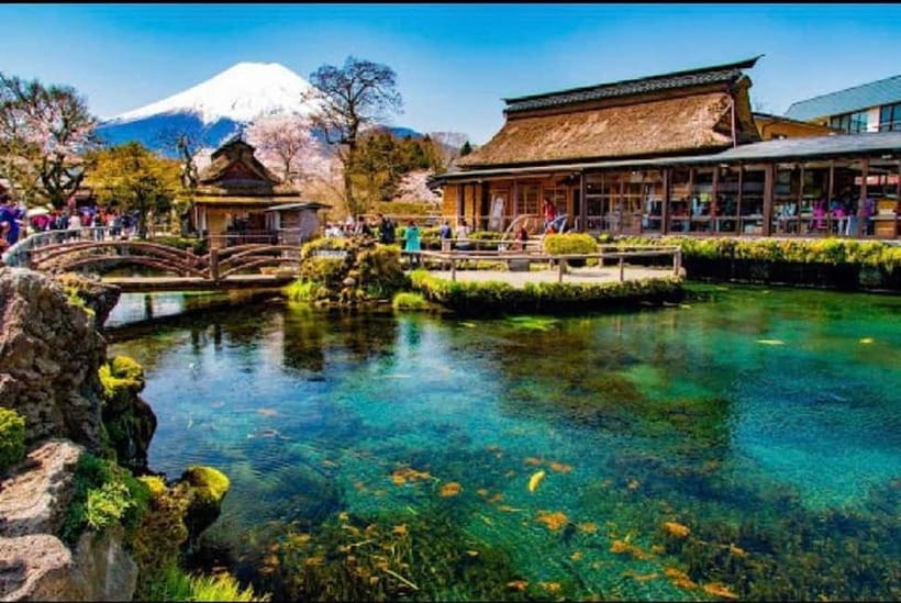 Mt Fuji Top 5 Spots Day Tour: Arakurayama Park,Oshino Hakkai - Why the guide can make or break the day