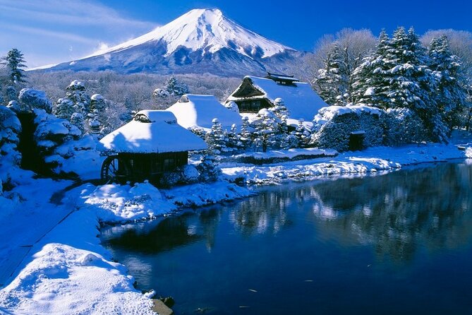 Mt. Fuji Tours with Kawaguchi Lake Ropeway View English Speaking - Oishi Park is the prettiest relaxed pause