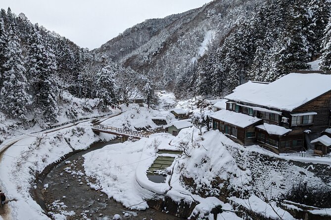 Nagano Snow Monkey 1 Day Tour with Beef Sukiyaki Lunch from Tokyo - Clothing, footwear, and practical preparation