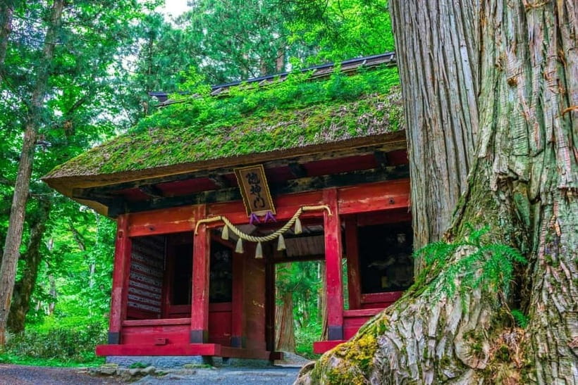 Nagano: Snow Monkeys & Togakushi Shrine Two-Spot in-One Day - Should you book it?