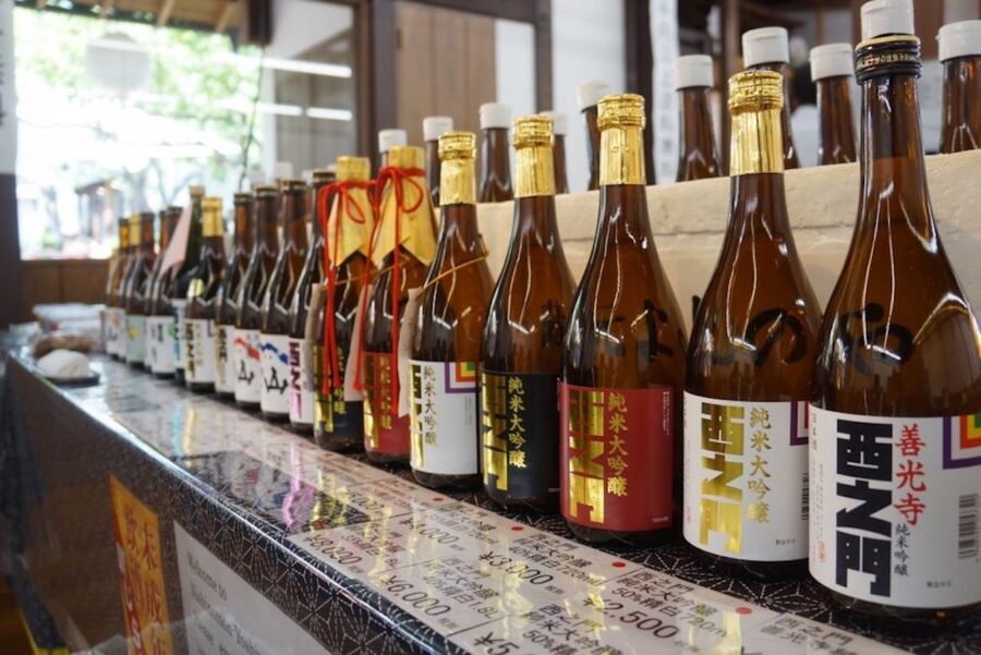 Nagano: Snow Monkeys, Zenkoji Temple & Sake Day Trip - Should you book the Nagano snow monkey day trip?
