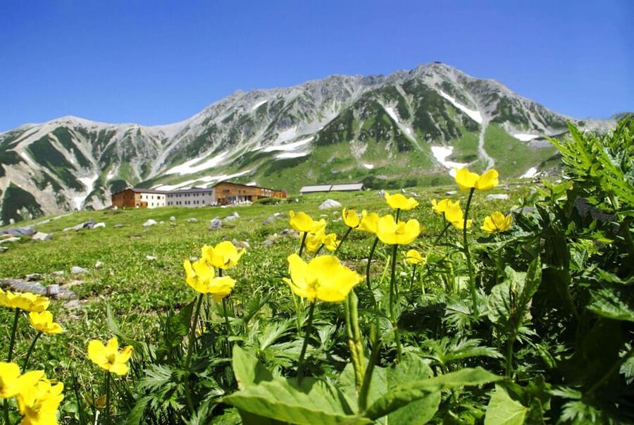 Nagano: Tateyama-Kurobe Guided Walking Tour - Key points to know before you book
