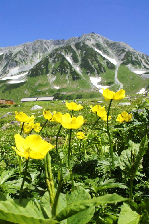 Nagano: Tateyama-Kurobe Guided Walking Tour - The return to Nagano