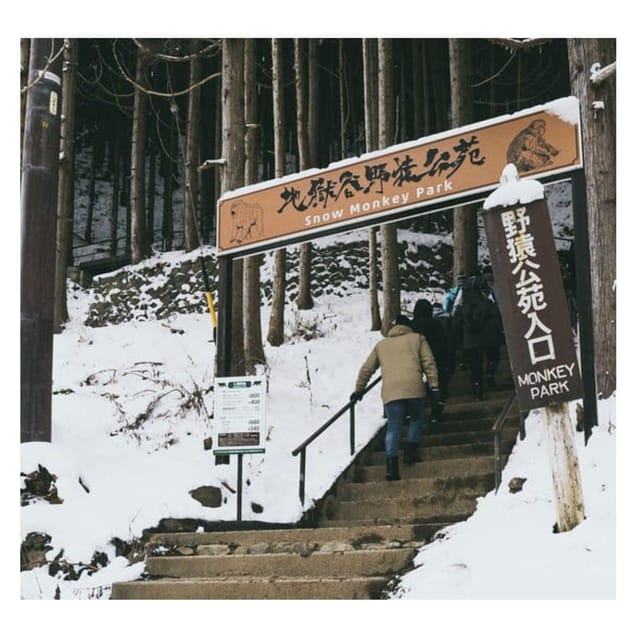Nagano/Tokyo: Snow Monkey Private Day Tour At Lowest Rate - Key points to know before booking