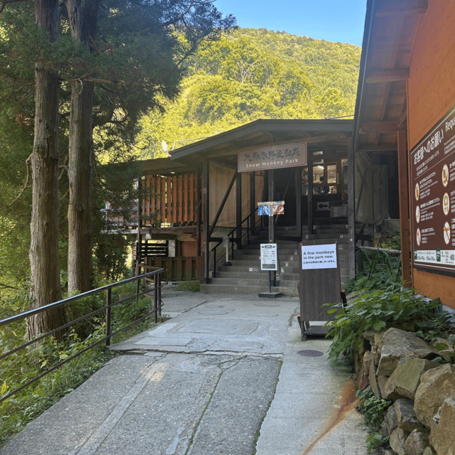 Nagano/Tokyo: Snow Monkey Private Day Tour At Lowest Rate - Snow monkeys first, with a cold walk to the hot springs
