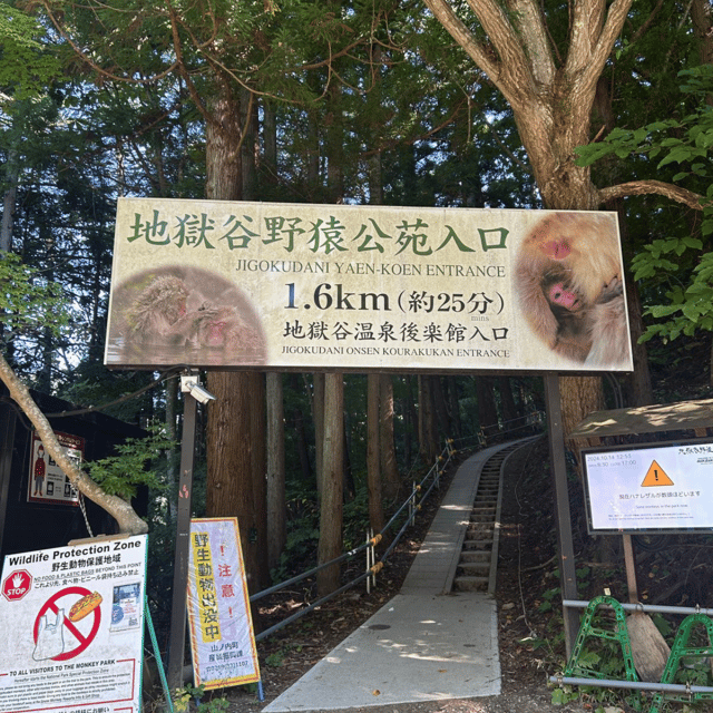 Nagano/Tokyo: Snow Monkey Private Day Tour At Lowest Rate - Zenko-ji Temple brings a quieter change of pace