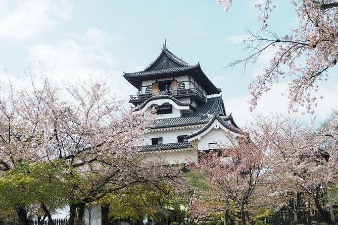 Nagoya Half-day Private Custom Tour with National Licensed Guide - Osu, Shikemichi, and smaller city history