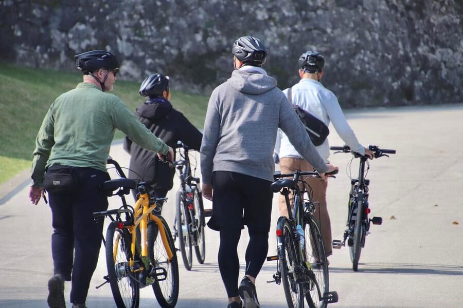 Naha: Guided E-Bike Tour of the 12 Zodiac Temples - Seikoji Temple and a calmer pause