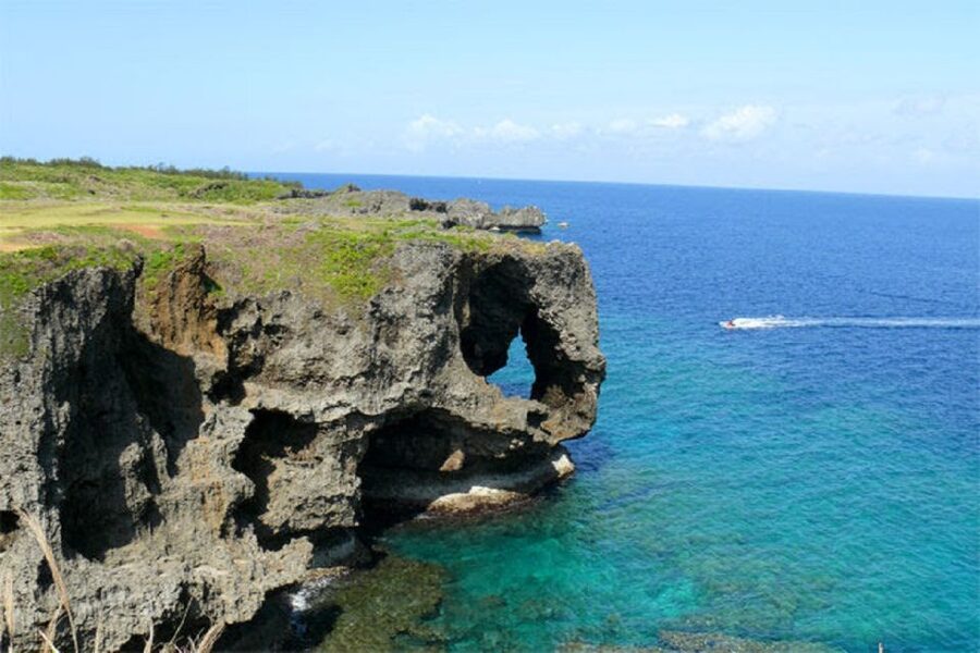 Naha: North Okinawa Sightseeing Tour & Churaumi Aquarium - Who should book this day trip