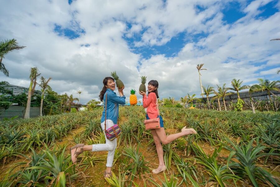 Naha: North Okinawa Sightseeing Tour & Churaumi Aquarium - Kouri Island and the bridge views