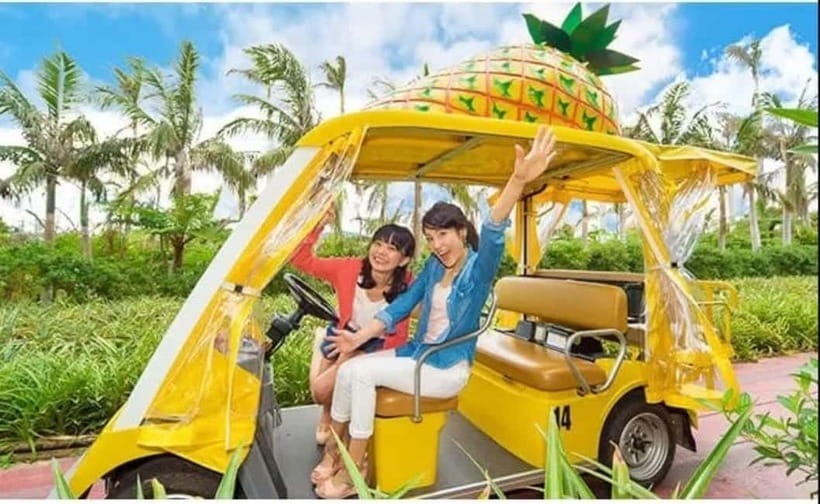 Naha: North Okinawa Sightseeing Tour & Churaumi Aquarium - Food, sweets, and a short stop at Okashigoten