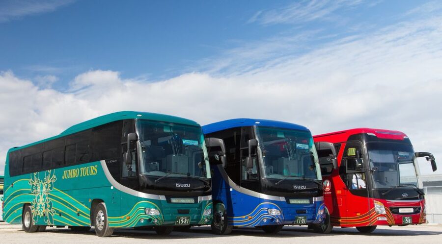 Naha: North Okinawa Sightseeing Tour & Churaumi Aquarium - Cape Manzamo and the final coastal view