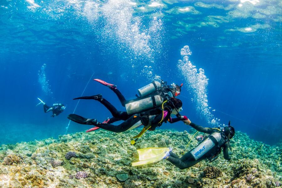 Naha, Okinawa: Kerama Islands Full-Day Intro-Diving Trip - Booking advice and final verdict