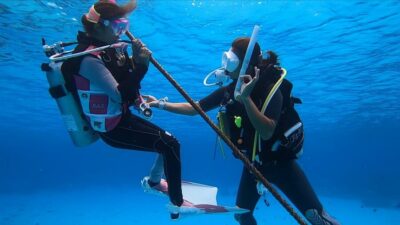 Naha, Okinawa: Kerama Islands Full-Day Intro-Diving Trip