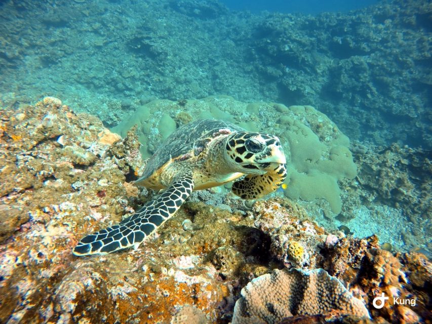 Naha, Okinawa: Kerama Islands Full-Day Intro-Diving Trip - Three stops, with snorkeling doing much of the work