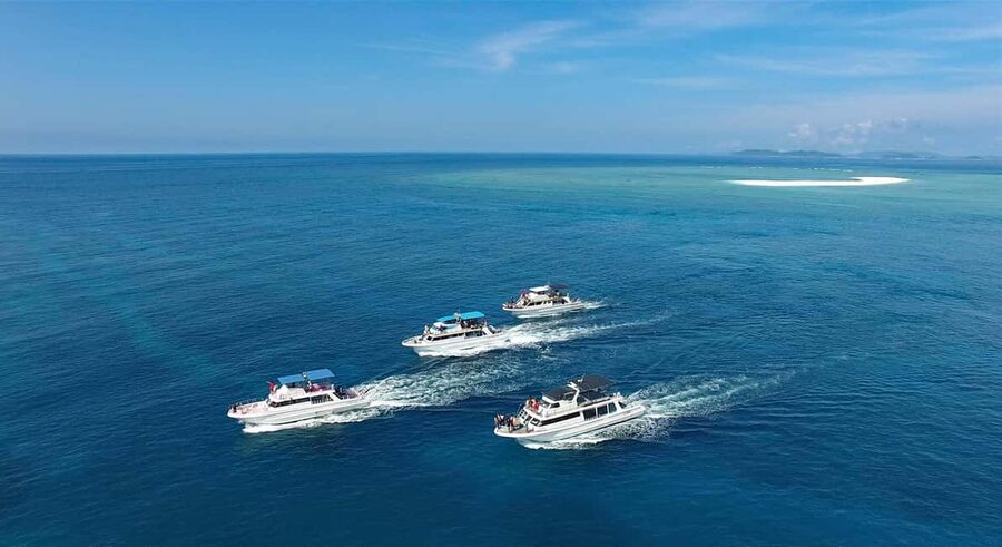 Naha, Okinawa: Kerama Islands Half-Day Whale Watching Tour - What a sighting really looks like