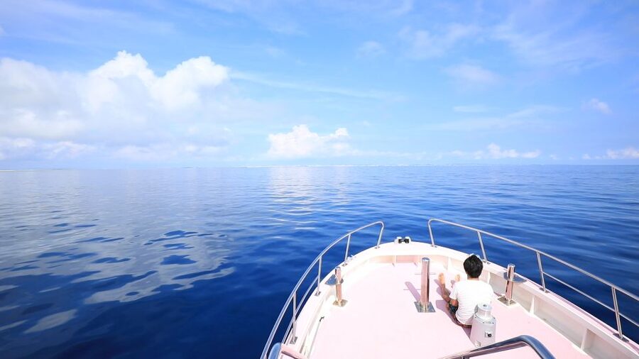 Naha, Okinawa: Kerama Islands Half-Day Whale Watching Tour - From Naha pickup to the port