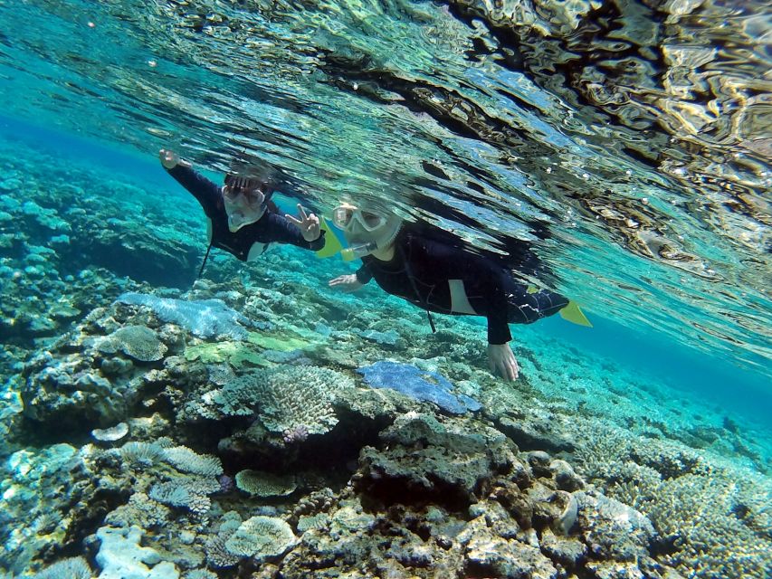Naha, Okinawa: Keramas Island Snorkeling Day Trip with Lunch - Who should book this day trip?
