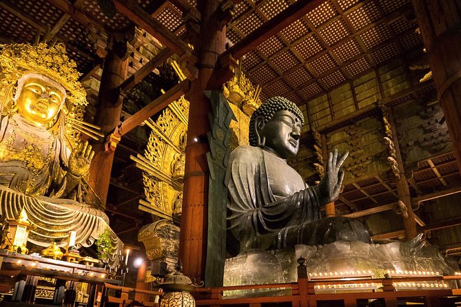 Nara 6hr Private Tour with Government-Licensed Guide - Todai-ji and Nara Park: the essential opening