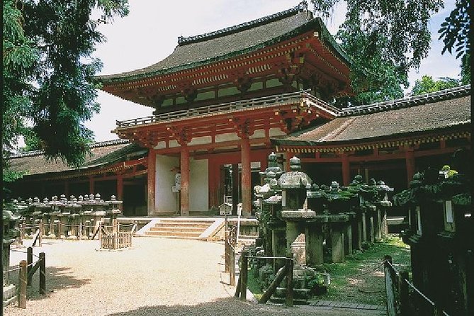 Nara Afternoon Tour from Kyoto or Osaka - Meeting Nara’s famous deer in the park