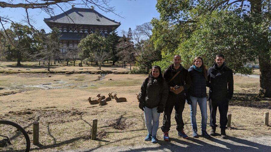 Nara: City Highlights Shared Group or Private Bike Tour - Riding beside Ukimido and Nara Park