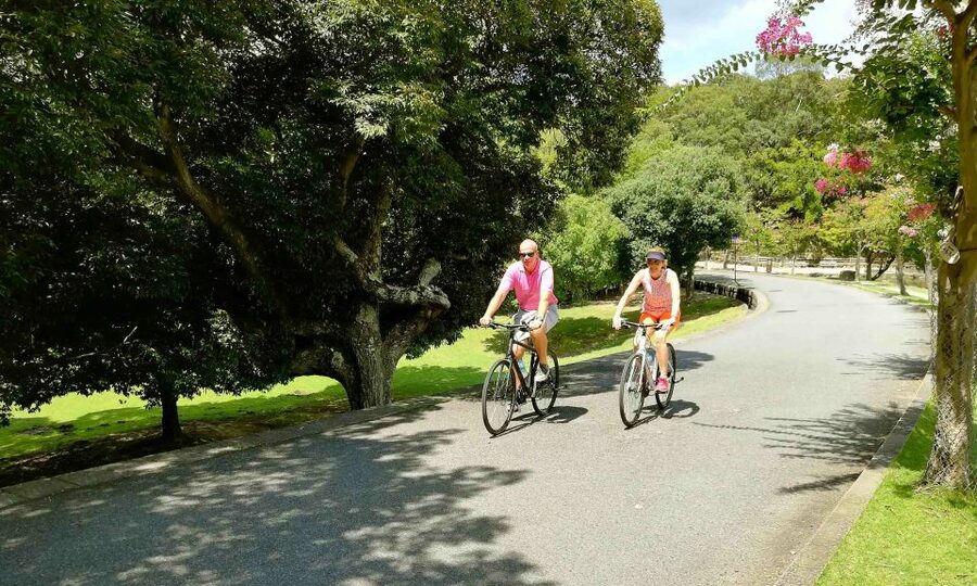 Nara: City Highlights Shared Group or Private Bike Tour - Kikuichi connects sightseeing with daily life