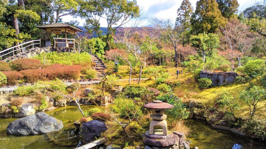 Nara: City Highlights Shared Group or Private Bike Tour - Starting near Toichi Shougakko