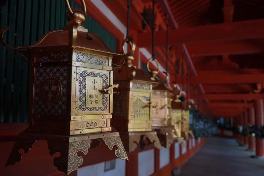 Nara Early Bird Tour (Kyoto Departure Option Available) - Key points before you book