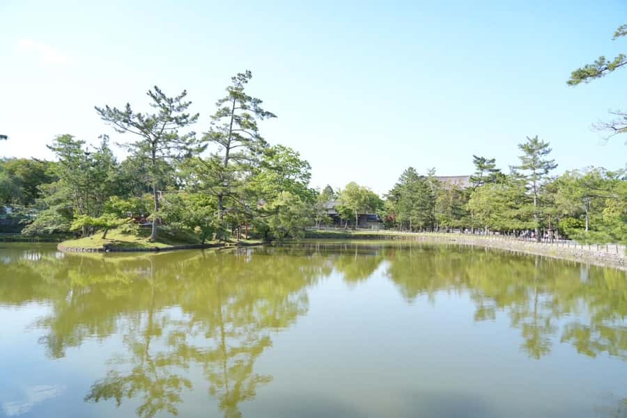 Nara Early Bird Tour (Kyoto Departure Option Available) - Kofuku-ji and the first look at Nara