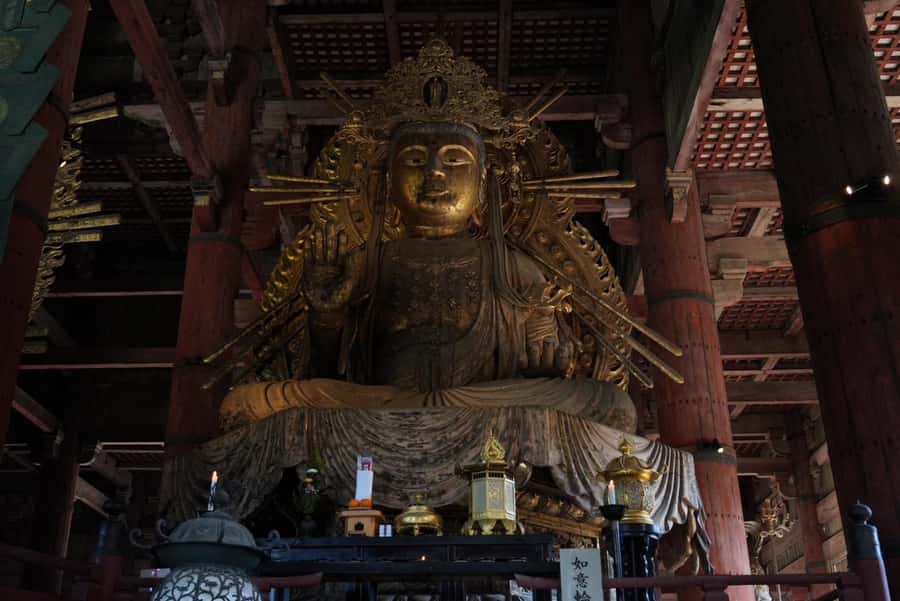 Nara Early Bird Tour (Kyoto Departure Option Available) - Kasuga Grand Shrine and the wooded paths