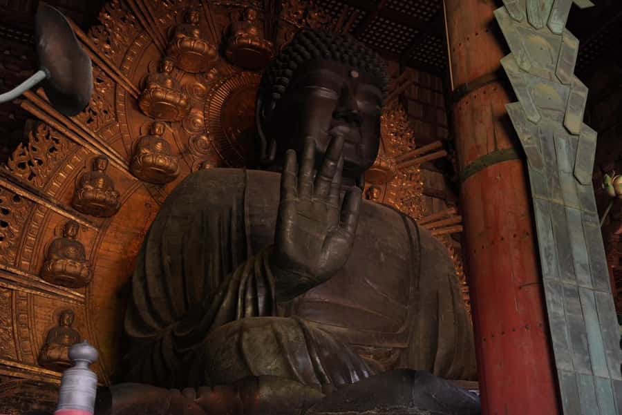 Nara Early Bird Tour (Kyoto Departure Option Available) - The finish before noon
