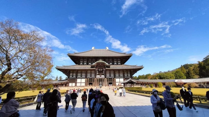 Nara: Great Buddha, Kasuga Shrine & Deer Park Tour - Following the lanterns to Kasuga Taisha