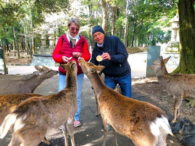 Nara: Great Buddha, Kasuga Shrine & Deer Park Tour - Starting at Himuro Shrine
