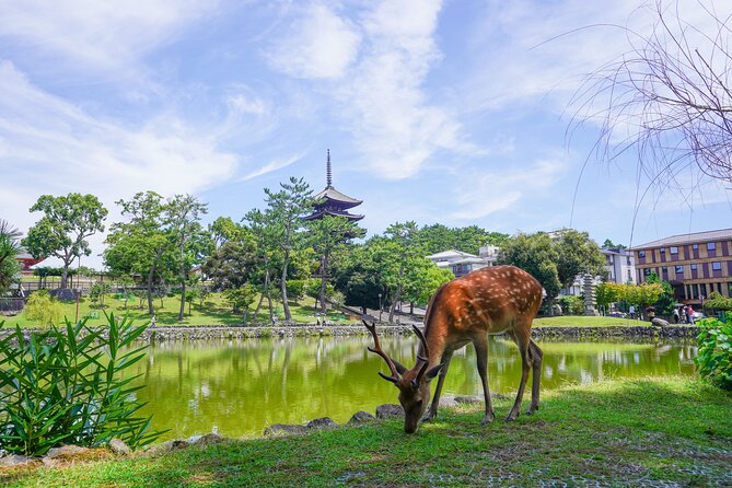 Nara Half Day Trip Walking Tour (Private Option Available) - Meeting at the Gyoki-bosatsu statue