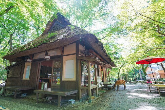 Nara Half Day Trip Walking Tour (Private Option Available) - A traditional lunch in an old Japanese town