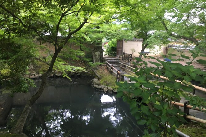 Nara Half Day Trip Walking Tour (Private Option Available) - Kasuga Taisha and the primeval forest