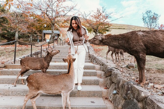 Nara Park, Osaka & Kobe from Kyoto Full Day tour - Dotonbori and Osaka’s food scene