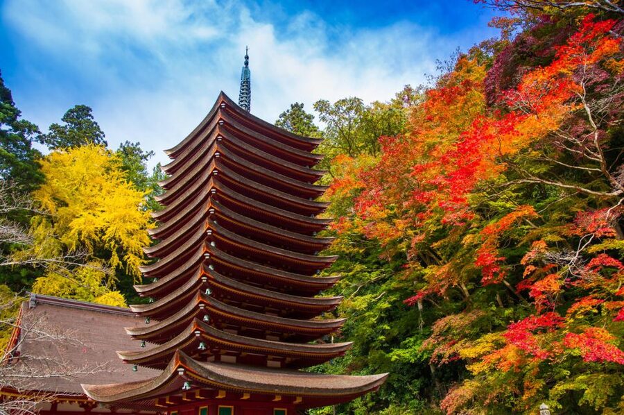 Nara: Private Tour with Private Guide - Key points to know before booking