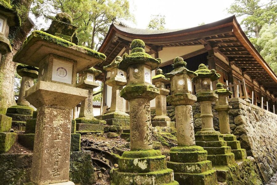 Nara: Private Walking Tour with a Local - What Eugene and Ursula bring to the walk