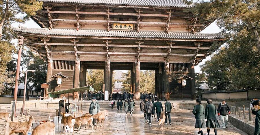 Nara: Private Walking Tour with a Local - Choosing between three hours and six
