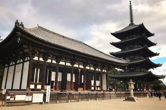 Nara Todaiji Kasuga Taisha Private Full Day Tour From Kyoto - Nara Park and the famous Sika deer