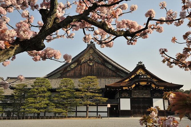 Nijo Castle Samurai Inside Story — Top-Rated Guide (Max 8) - The details most people walk past
