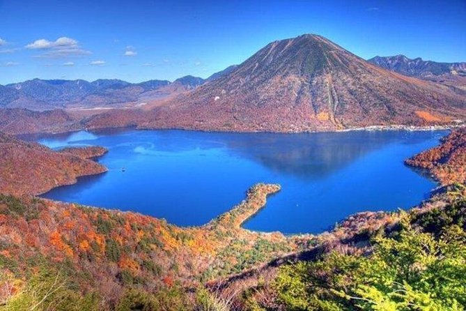 Nikko Full-Day Private Tour with Government-Licensed Guide - The guides and the value of the private format