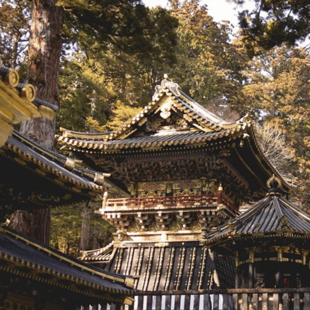 Nikko Heritage & Nature Day Trip from Tokyo - Irohazaka Road Into the Mountain Zone