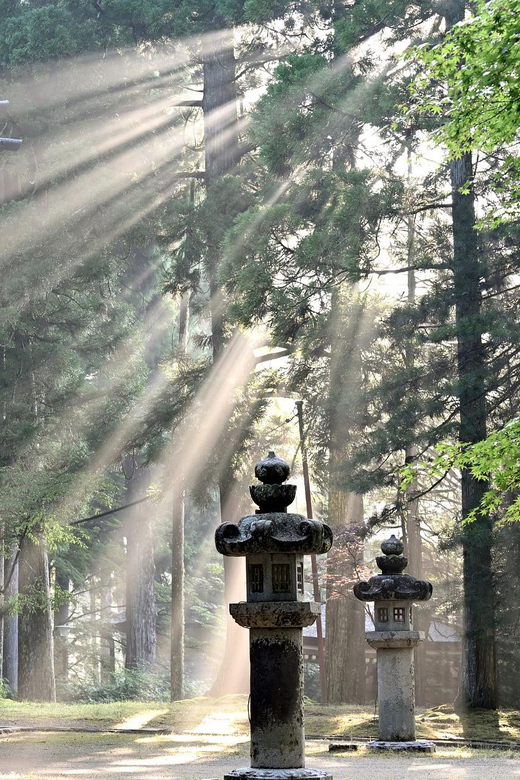 Nikko Heritage & Nature Day Trip from Tokyo - Kanmangafuchi Abyss If the Clock Allows